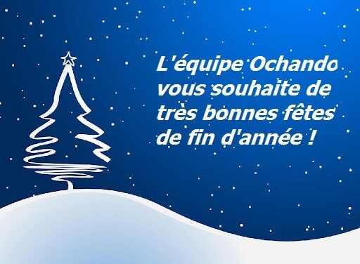 JOYEUSES FETES !!