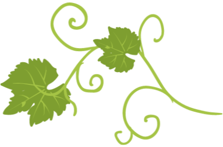 Spécialiste du matériel vinicole neuf ou d’occasion depuis plus de 20 ans