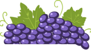 Spécialiste du matériel vinicole neuf ou d’occasion depuis plus de 20 ans